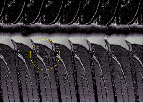Tread scuffing
